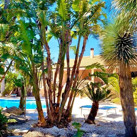 Bismarkia * Syracuse