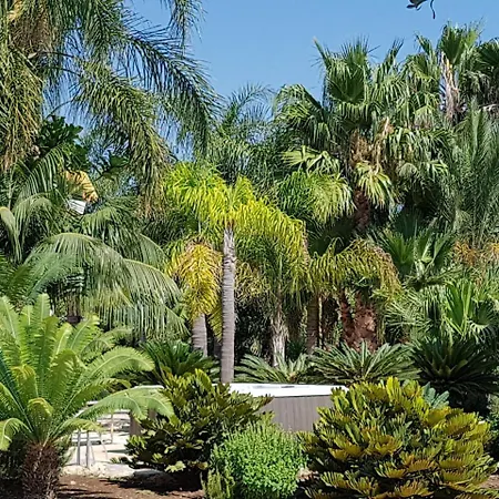 Bismarkia דירה סירקוזה