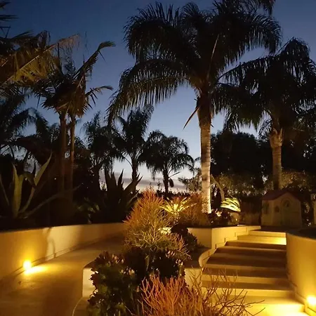 Bismarkia * Syracuse