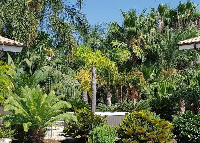 Bismarkia Appartement Syracuse